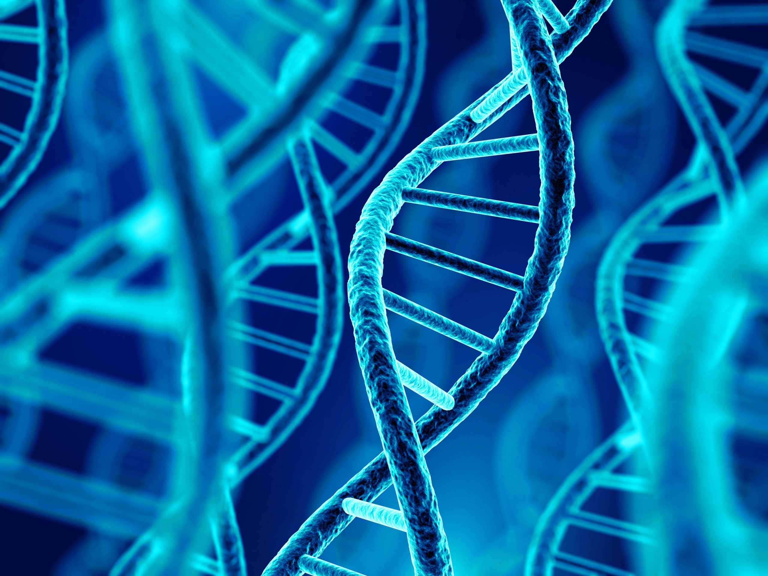 DNA molecule spiral. 3d illustration